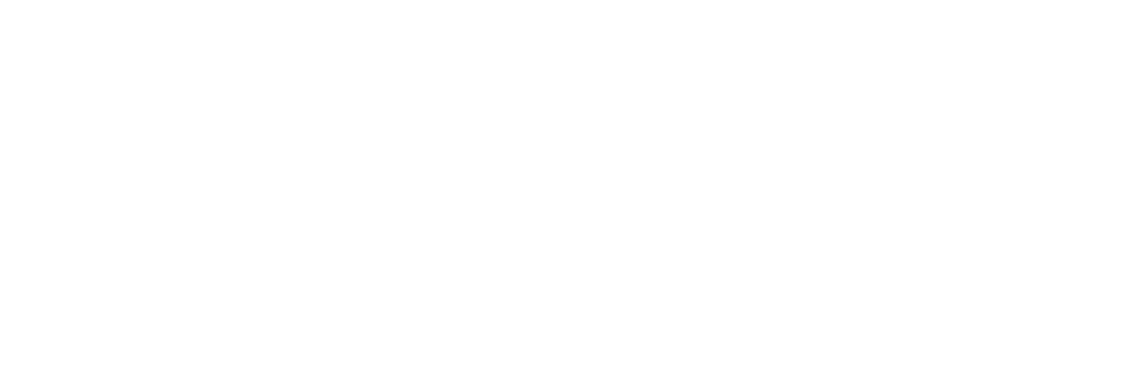 Singulogi – Wealth Management of the Future